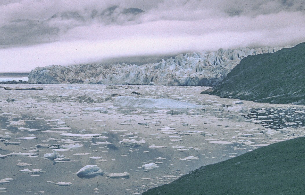 Qajuuttap sermia entering the fjord